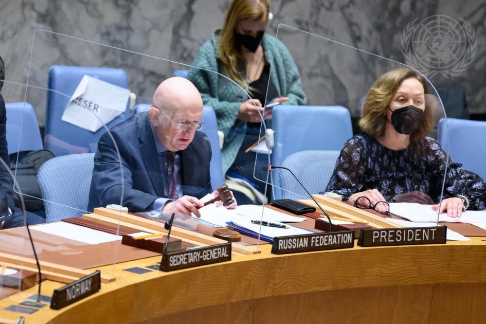 Statement by Permanent Representative Vassily Nebenzia at UN Security Council briefing on the work of the UN Compensation Commission (Iraq)