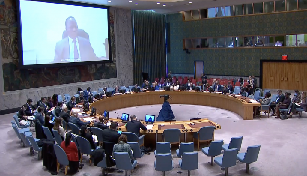 Выступление заместителя Постоянного представителя А.М.Евстигнеевой на заседании СБ ООН по Совместным силам «Сахельской пятерки»